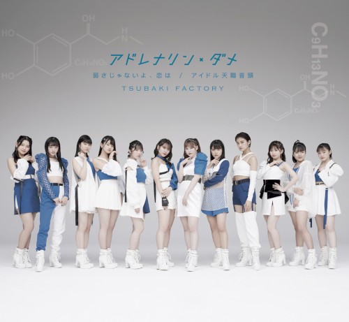 アドレナリン・ダメ / 弱さじゃないよ、恋は / アイドル天職音頭