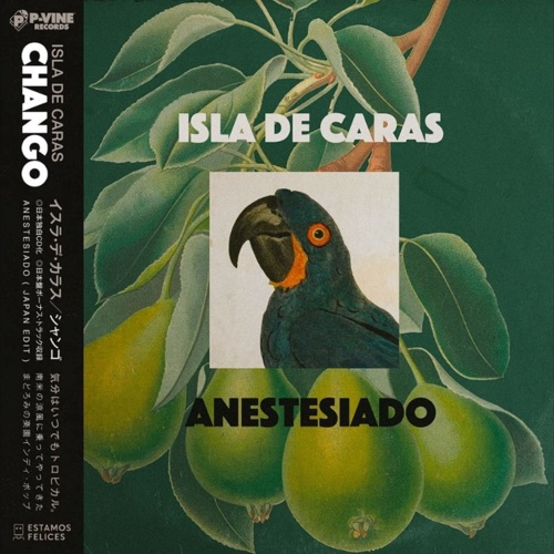 Anestesiado (Japan edit)