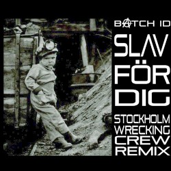 Slav för dig (Stockholm Wrecking Crew remix)