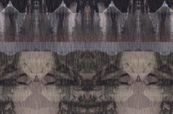 The Unseen Shadows