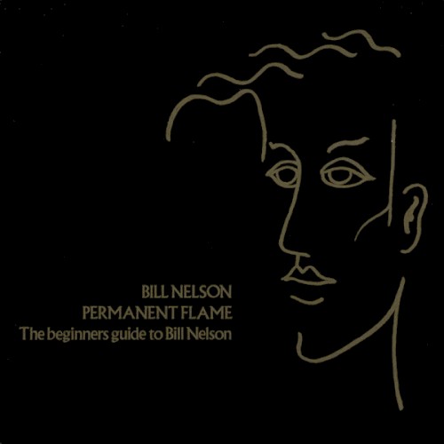 Permanent Flame (The Beginners Guide to Bill Nelson)