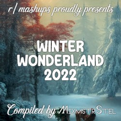 Winter Wonderland 2022: An /r/mashups Compilation
