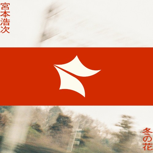 冬の花