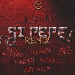 Sí Pepe (remix)