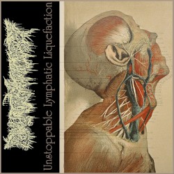 Unstoppable Lymphatic Liquefaction