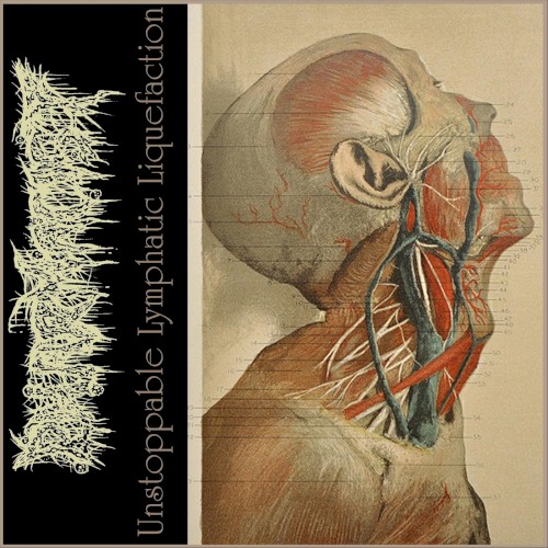 Unstoppable Lymphatic Liquefaction