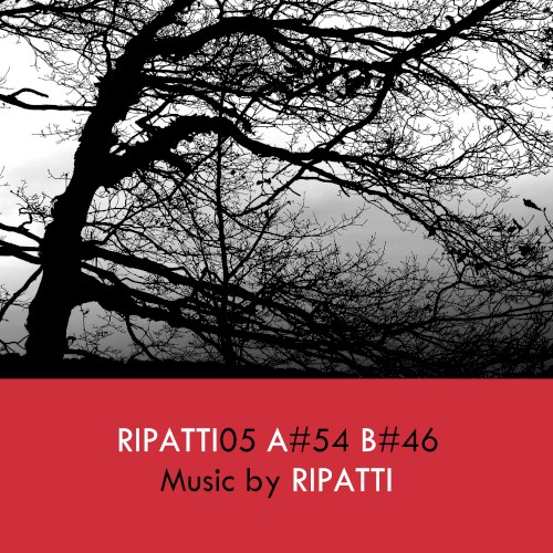 Ripatti05