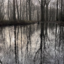 The Deep Cut