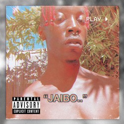 Jaibo