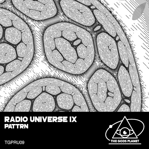 Radio Universe IX