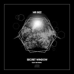 Secret Window