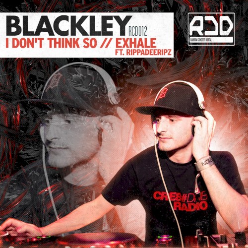 I Don't Think So / Exhale