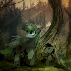 Button Forest