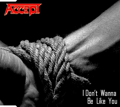 I Don't Wanna Be Like You