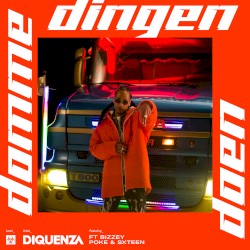 Domme Dingen Doen