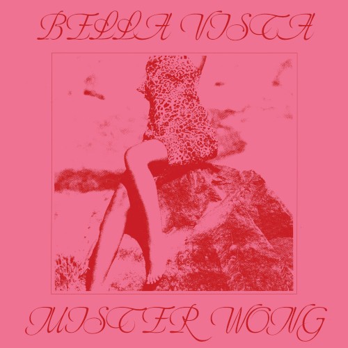 Mister Wong