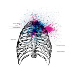 70 cm³ of Your Chest