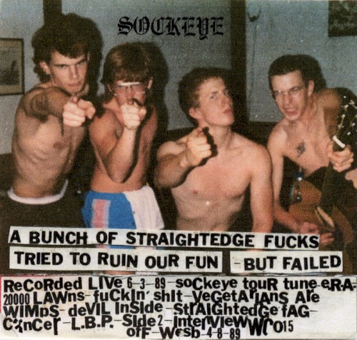 A Bunch of Straightedge Fucks Tried to Ruin Our Fun - But Failed/Leftovers