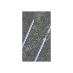 La Ridgeway Welle