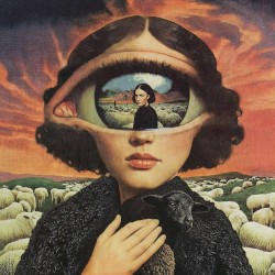 BLACKSHEEP