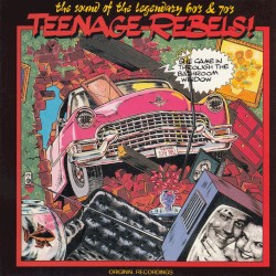 Teenage Rebels! - She Came in Through the Bathroom Window