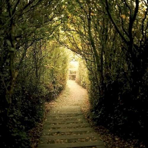 The Beaten Path EP