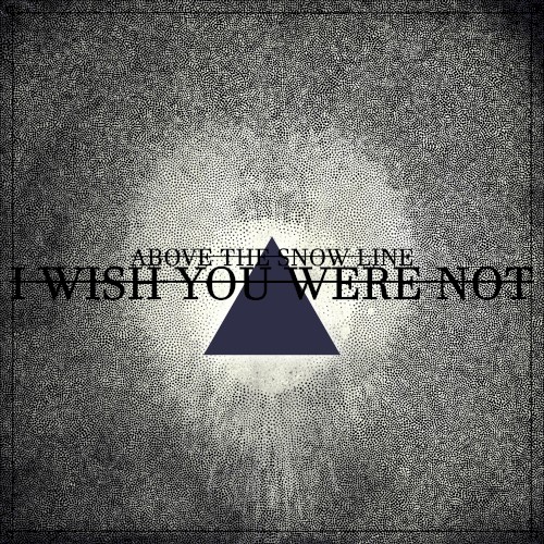 I Wish You Were Not