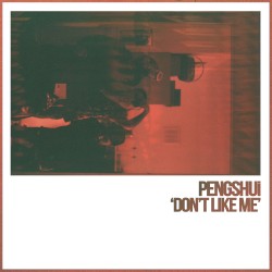 Don't Like Me