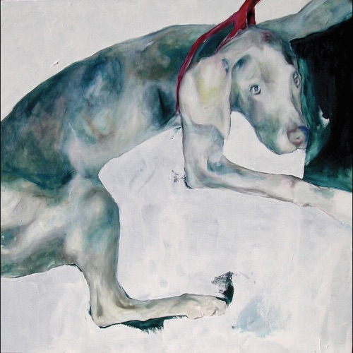 Dei cani