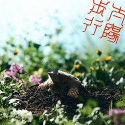 太陽歩行
