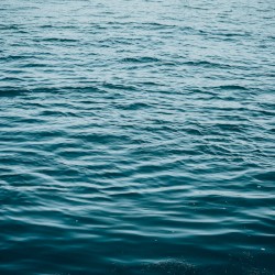 Black Water