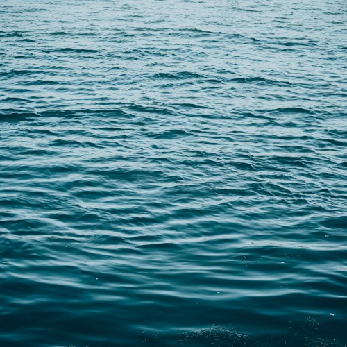 Black Water