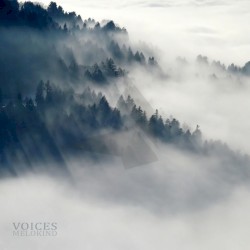 Voices
