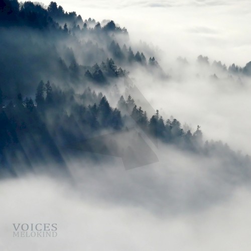 Voices