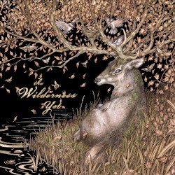 The Wilderness Yet