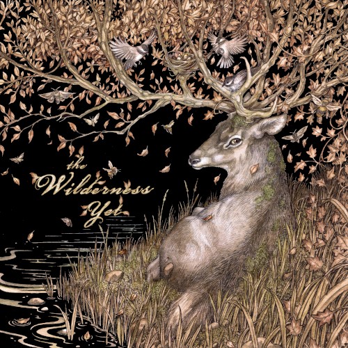 The Wilderness Yet
