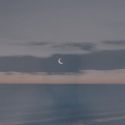 Introspection