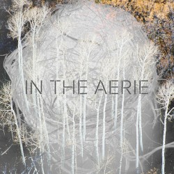 In the Aerie