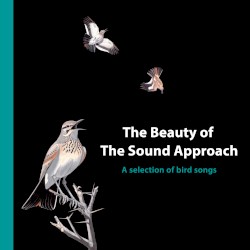 The Beauty of The Sound Approach