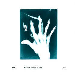 Waste Your Love