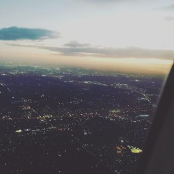 soar