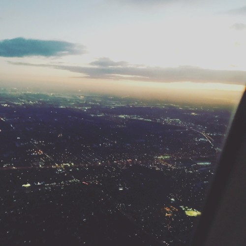 soar