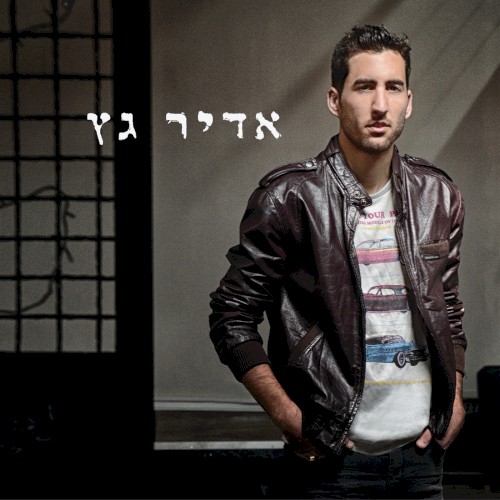 אדיר גץ
