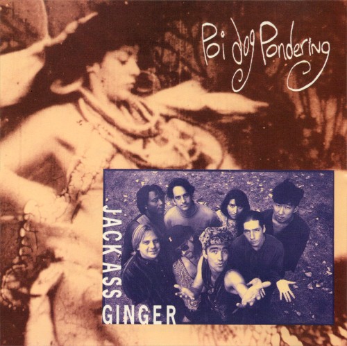 Jack Ass Ginger