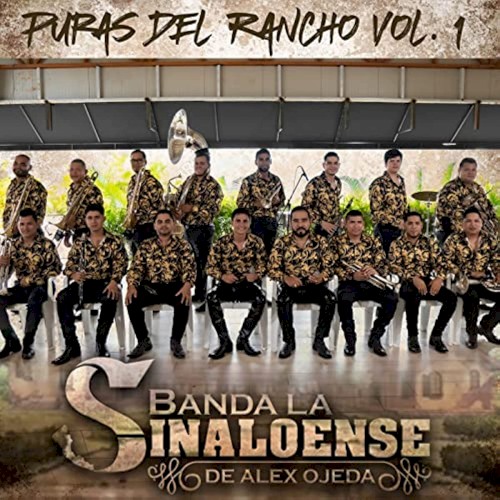 Puras del rancho vol. 1 (en vivo)