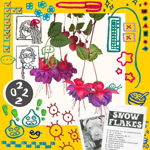 snow flakes 2022