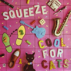 Cool for Cats
