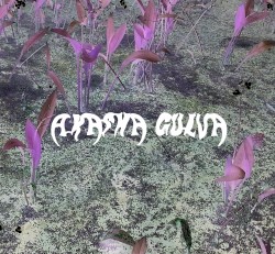 Swamp Vibration