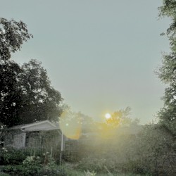 Improv Collection 22/04/25 - 21/05/25