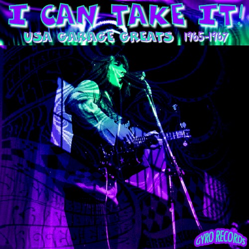 USA Garage Greats, Vol. 90: I Can Take It!